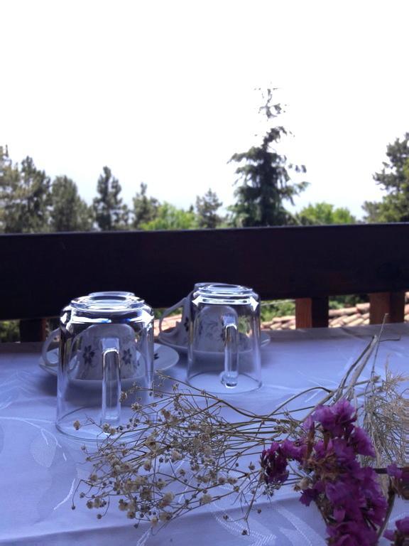 Chardak Apartments Οχρίδα Εξωτερικό φωτογραφία